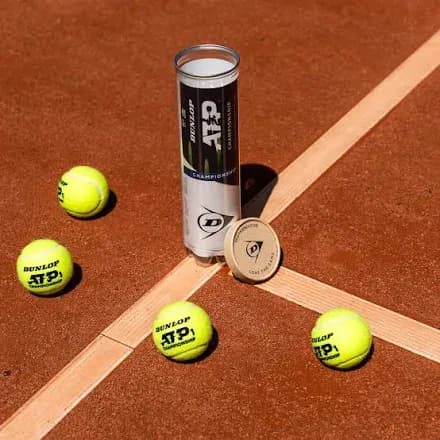 Dunlop ATP Tennis Ball Tube